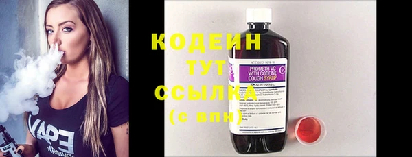 крисы Инсар