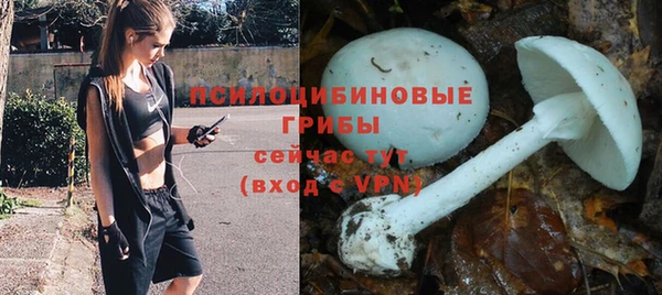 кокс Инта