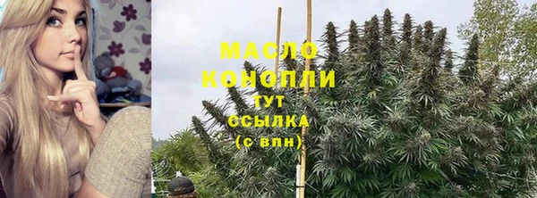 крисы Инсар