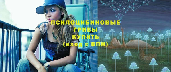 крисы Инсар