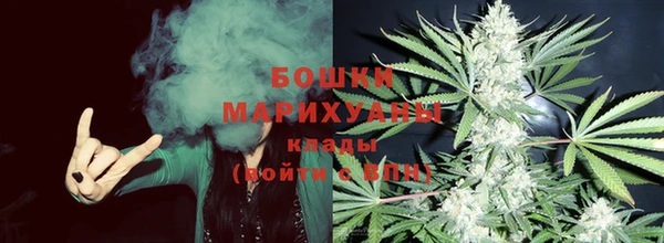крисы Инсар