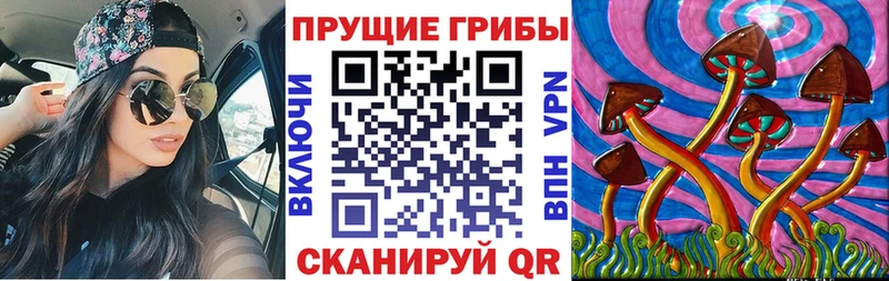 Псилоцибиновые грибы MAGIC MUSHROOMS Кузнецк