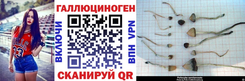 Купить закладки  Кузнецк  Галлюциногенные грибы Psilocybine cubensis 